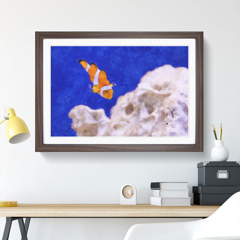 Clownfish Vol.2 - Picture Frame Graphic Art, 48cm H x 65cm W x 2cm D, Walnut Framed