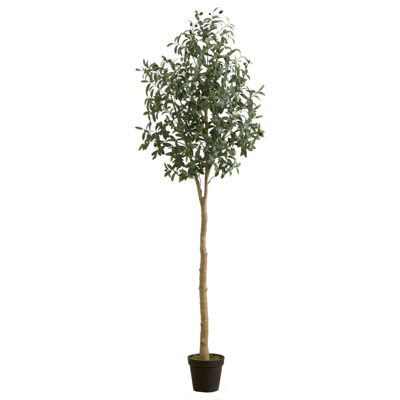Varela 84'' Faux Olive Tree Tree in Pot