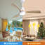 Ventilateur de plafond moderne 48 pouces avec 3 lumières-41749692-41749694