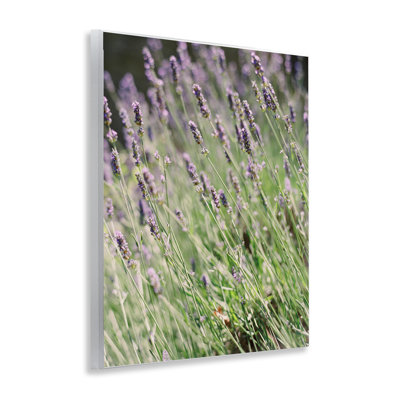 «Country Country Lilac Garden» par Justine Milton
