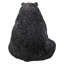Ours noir assis