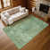 Premium Machine Washable Marasco AMF1629 Global Rug