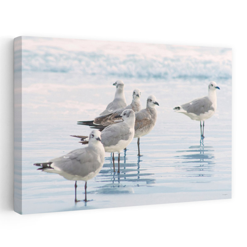 Oiseau de rivage Sentinel - Gros plan côtier, mouettes, oiseaux de plage, eau peu profonde, H 48 po x l 32 po
