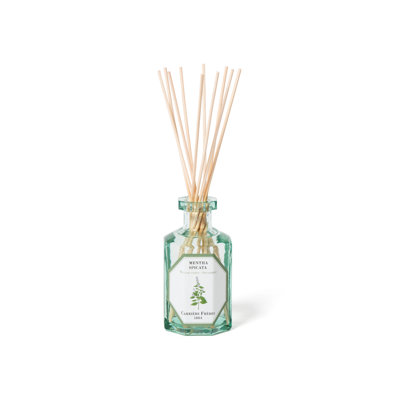 Rose Mint Diffuser