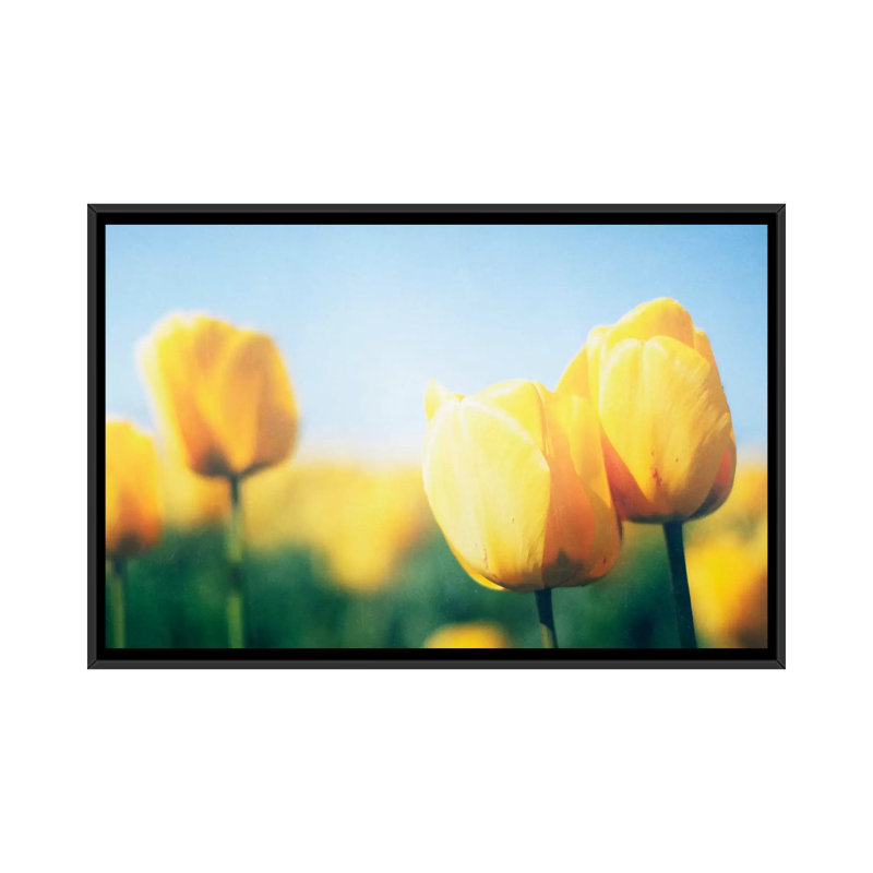 Sunny Blooms II, reproduction de photo sur toile tendue, H 18 po x l 26 po x P 1,5 po, Toile avec cadre noir, Pas de tapis