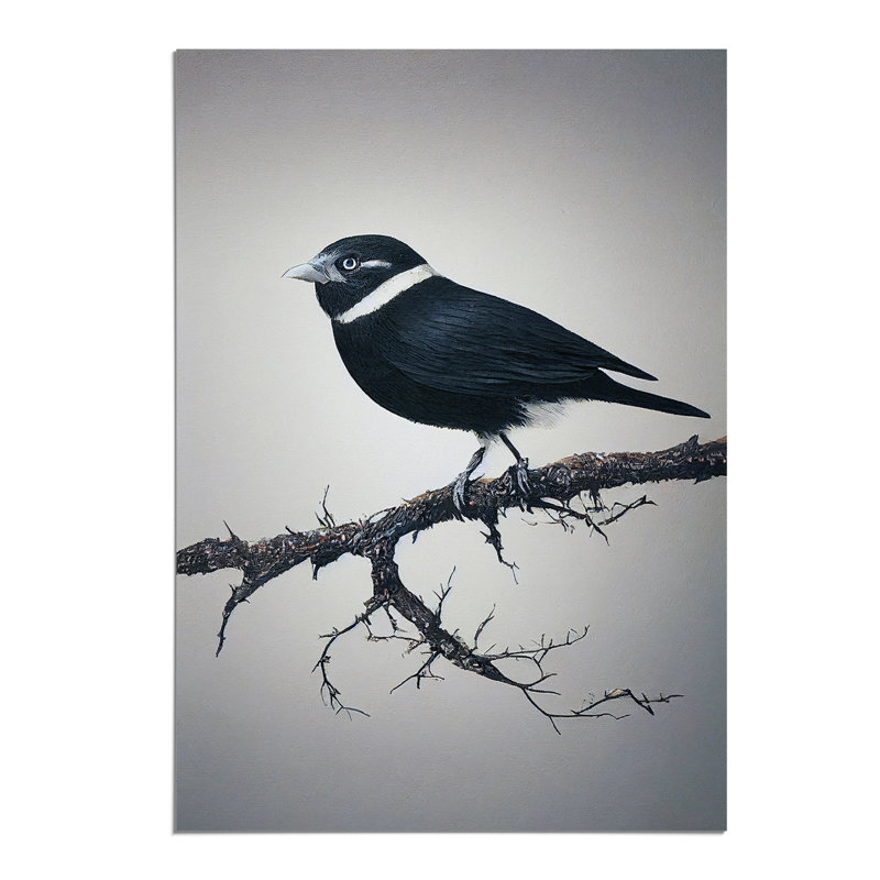 Bird Upon A Tree - Wall Art, 29.7cm H x 21cm W, Paper, No Matte