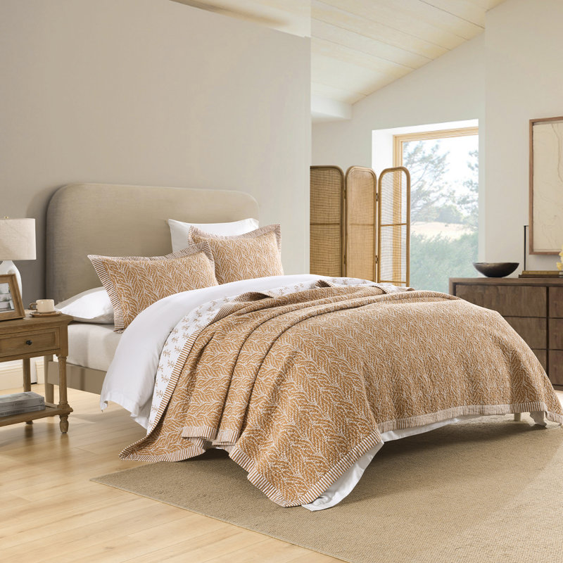Ensembles de courtepointe 100% coton 98 po x 90 po Dduoxin - 1 courtepointe avec 2 taies décoratives, Caramel doux
