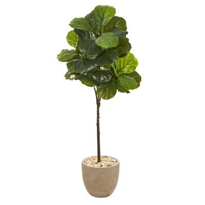 51'' Faux Fiddle Leaf Fig Tree in Earthenware Planter