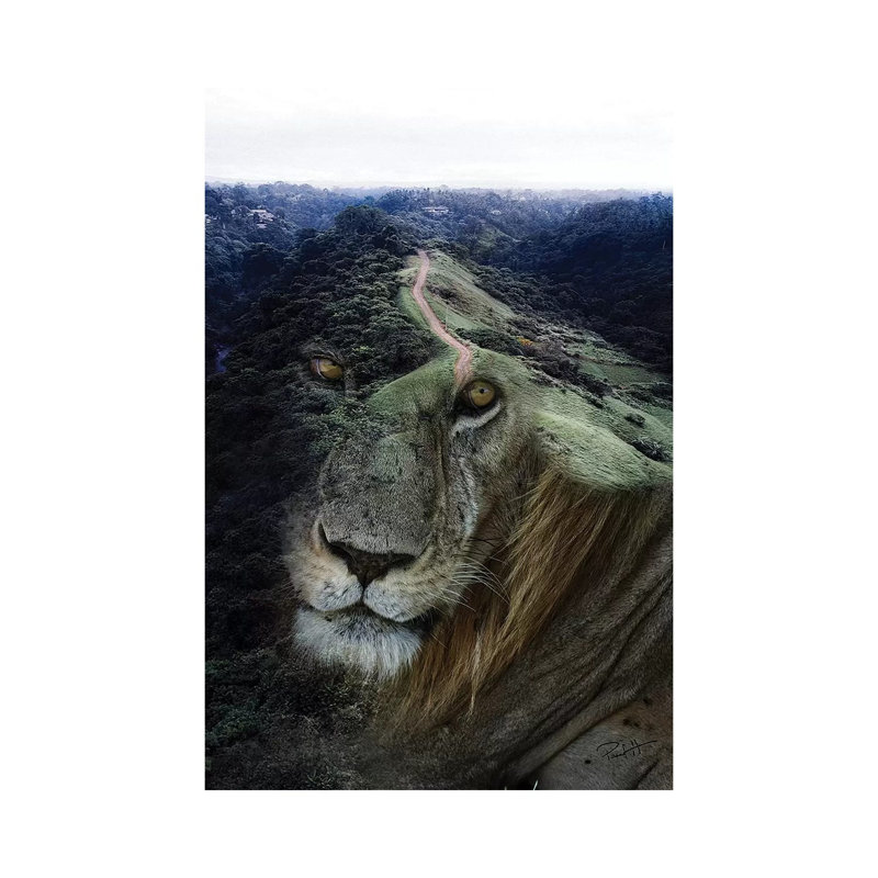 Nature King by Paul Haag - Wrapped Canvas Print, 30.48cm H x 20.32cm W x 1.91cm D