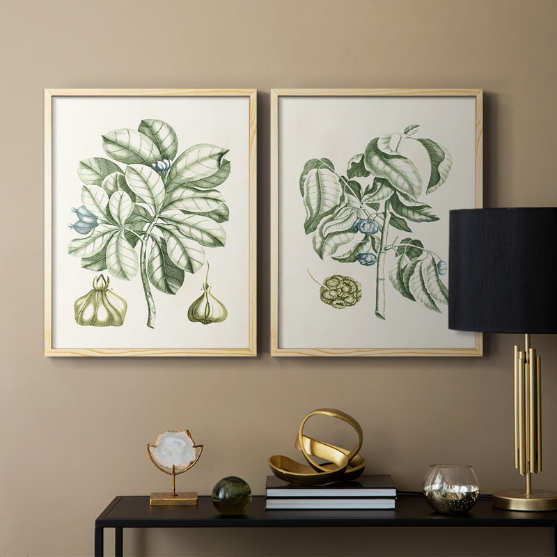 Reproduction encadrée de qualité supérieure Buchoz Tropicals IX - prête à être accrochée, Bois naturel, H 21 po x l 34 po