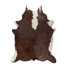 Blanc/Brun Hereford