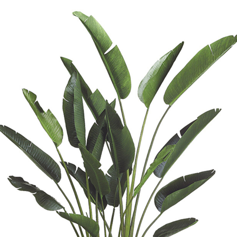 Faux Bird of Paradise Tree in Plastic Pot Liner