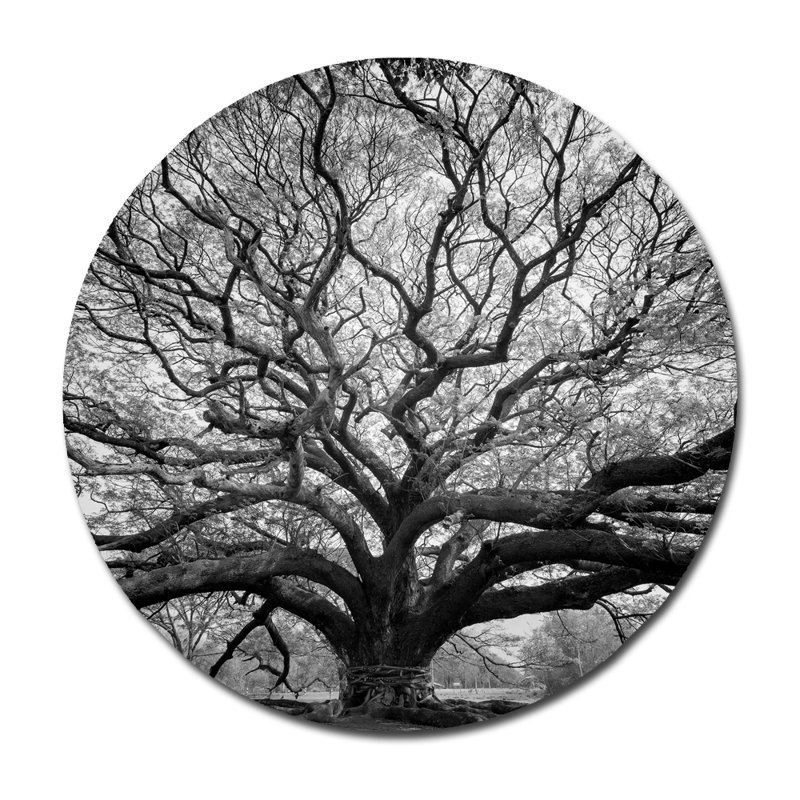 Tree Of Wisdom Print, 46" H x 46" W x 1.5" D