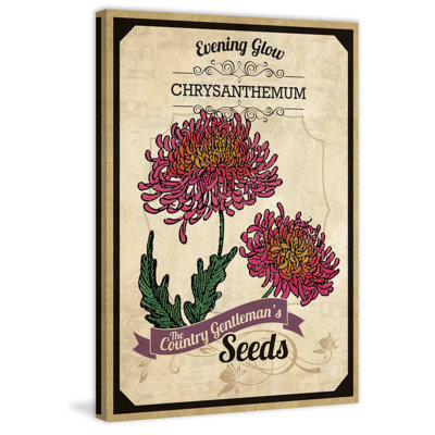 Flower Packet Chrysanthemum - Wrapped Canvas Print