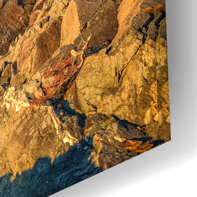 «Cliff Of Quoddy Head State Park» par Rick Berk, art mural en verre acrylique, H 16 po x l 24 po