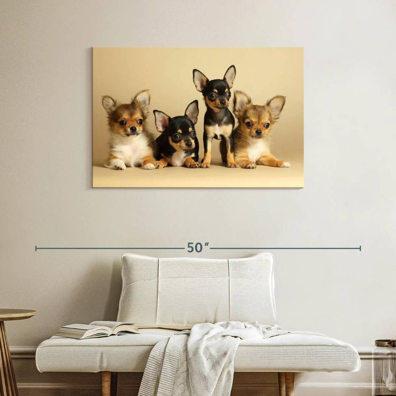 Adorables chiens chihuahua, H 26 po x l 39 po