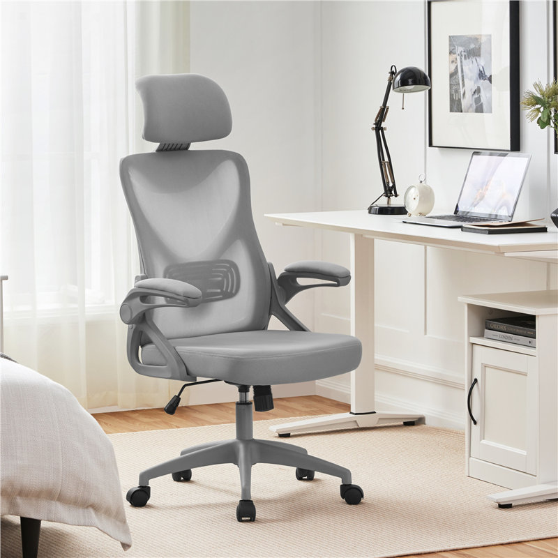 Joyti Ergonomic Task Chair with Headrest and Flip-up Armrest Lumbar, Light Gray, Gray