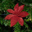 Angelicque Polyethylene (PE) Poinsettia Arrangement-1431776984