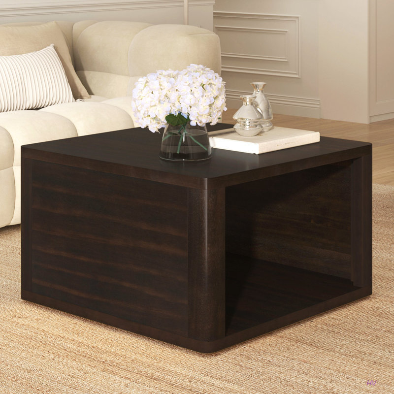 Table basse carrée pour le salon Table basse de style campagnard avec rangement, table centrale à 2 niveaux avec compartiment de rangement semi-ouvert de 30,8 po