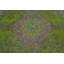 Tapis traditionnel vert en laine à motif médaillon 6 x 10