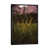 Black Framed selected
