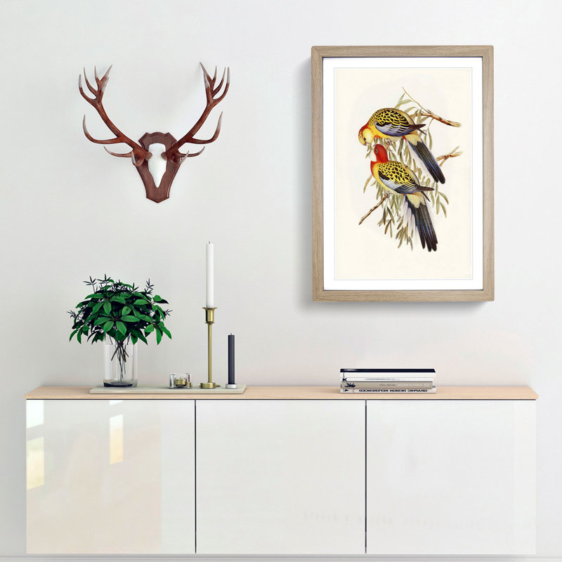 Splendid Parakeets by Elizabeth Gould - Picture Frame Painting Print, 48cm H x 36cm W x 2cm D, Oak Framed