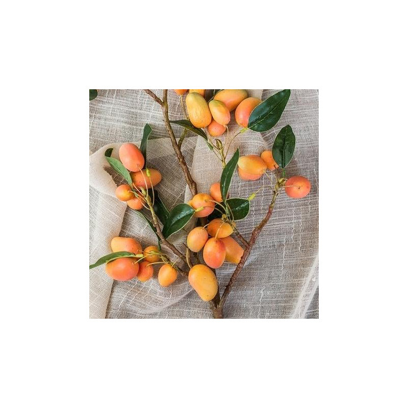 Tige en faux mangue, 1 tige