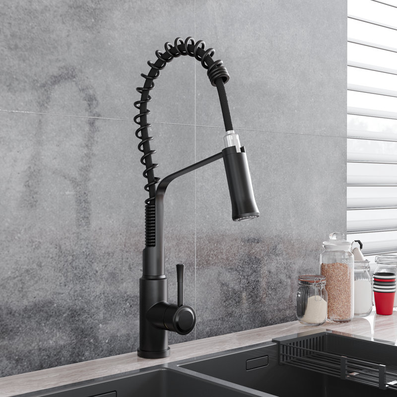 Belfry Kitchen Catawba Pull Down Kitchen Faucet, Black