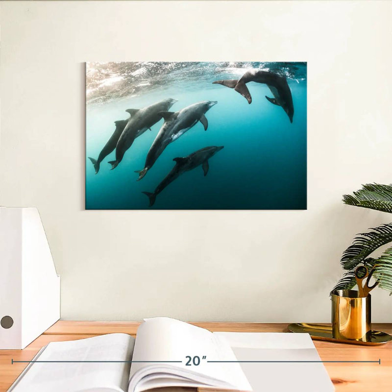 Brampt Dolphin Playmates, 8" H x 12" W
