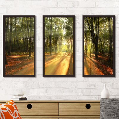 Fall Landscape Trees - 3 Piece Picture Frame Photograph Print Set on Acrylic -  Picture Perfect International, 704-4372-1224
