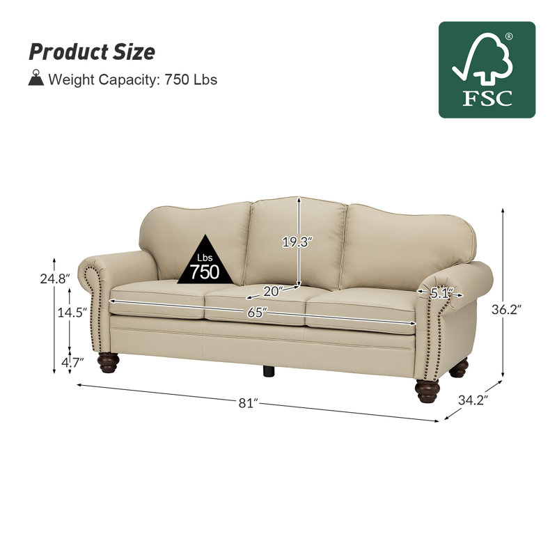 Canapé traditionnel en cuir véritable 81 po Eugene, Beige