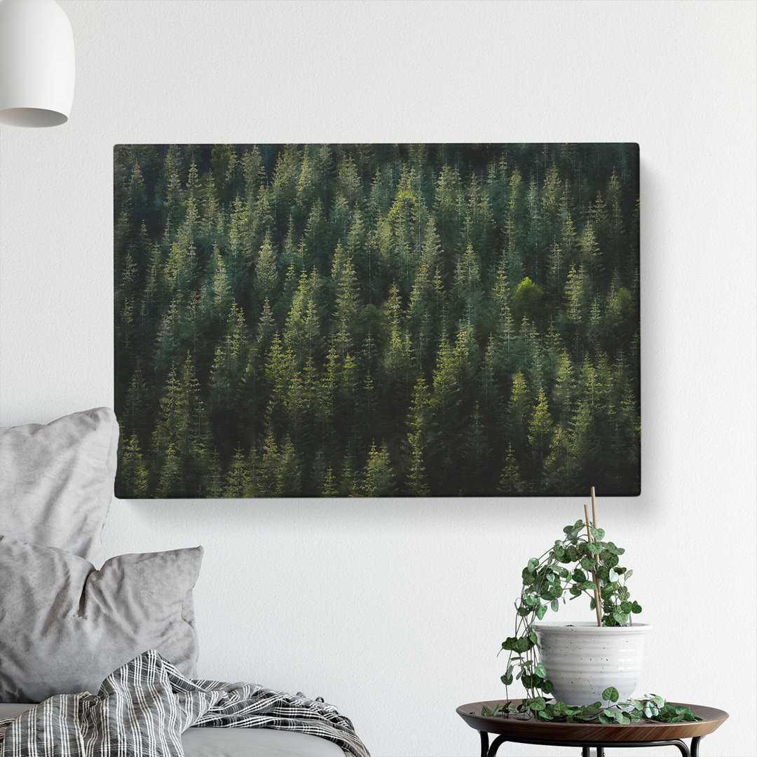 Beauty Of The Pine Tree Forest Painting - Wrapped Canvas