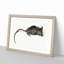 Mouse by Jean Bernard - Picture Frame Painting Print-55580888-55580891