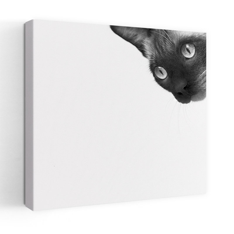 «Be Brave», art contemporain pour chat, H 18 po x l 18 po