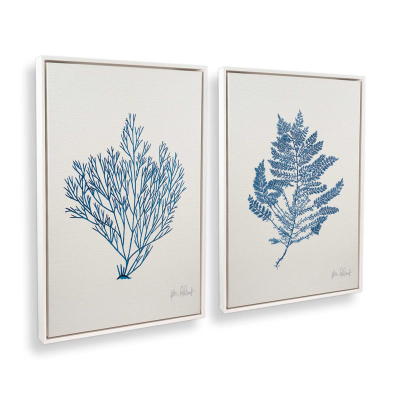 «Nature's Blueprints», ensemble de 2, reproduction sur toile, Cadre flottant blanc opaque, H 18,75 po x l 12,75 po