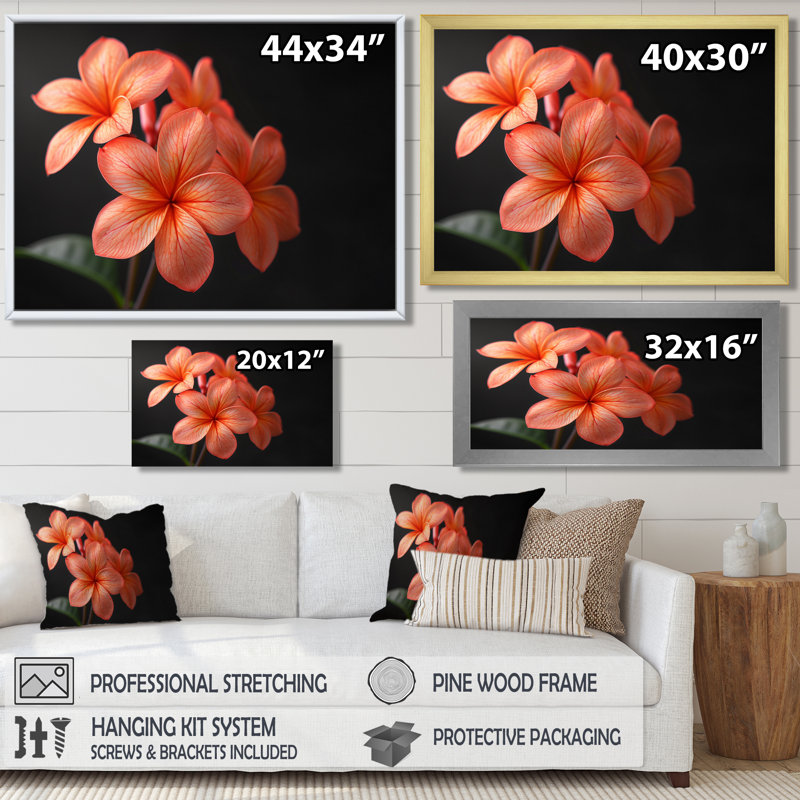 Décoration murale Kinsman - Plumeria, H 16 po x l 32 po x P 1 po, Toile tendue