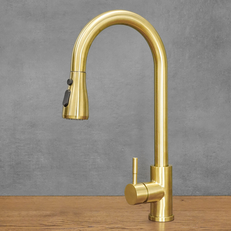 Belfry Kitchen Kitchen Faucet, Gold
