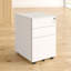Carmella 39cm Wide 3 -Drawer Mobile Steel File Cabinet-32003099