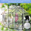 Serre extérieure - Polycarbonate avec base galvanisée et toit réglable pour améliorer la qualité de l'air-118823188
