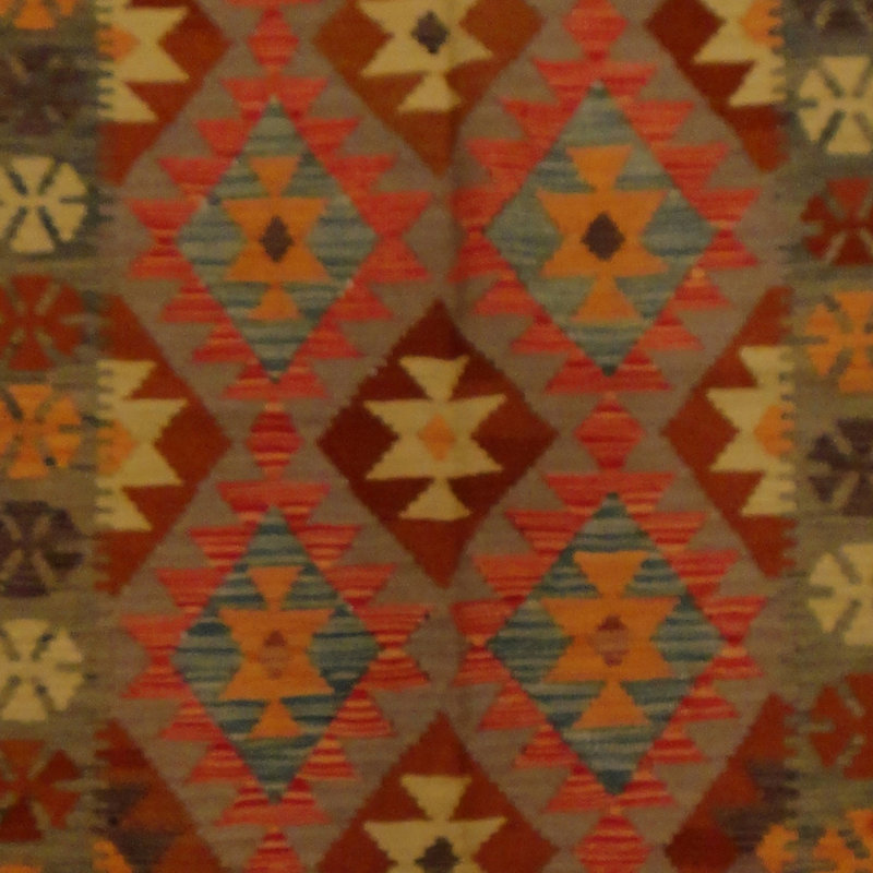 Azpeitia Wool Southwestern Indoor Rug