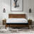 Copper Infused 14 Inch Plush Memory Foam Mattress-1398820771
