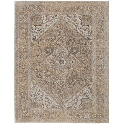 Neoma Viscose Oriental Indoor Rug