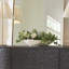 Uttermost Protea Blooms White Bowl Centerpiece