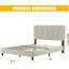 Metal Bed