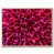 Natural Floater Framed Canvas is unavailable