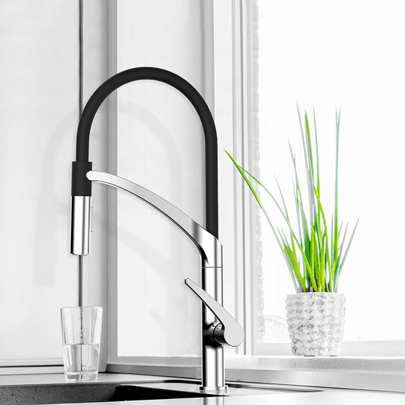 Belfry Kitchen Metcalf Pull Out Kitchen Faucet