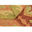 Tapis à main one-of-kind-noué la rouge/orange/vert 3 pi 2 po x 5 pi zone de laine Elland