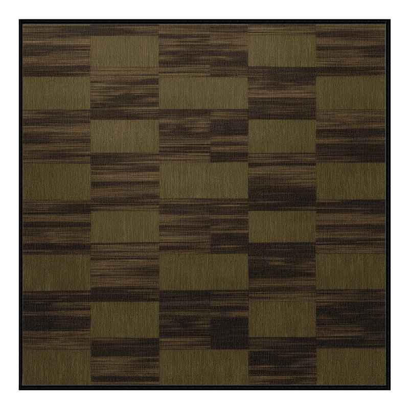 Machine Washable Checkered Brown Area Rug