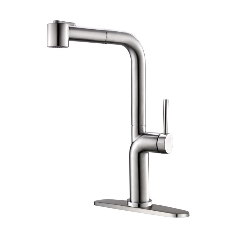 MAXWELL Pull Out Kitchen Faucet