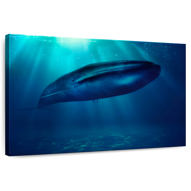 Blue Whale Underwater, 32" H x 48" W